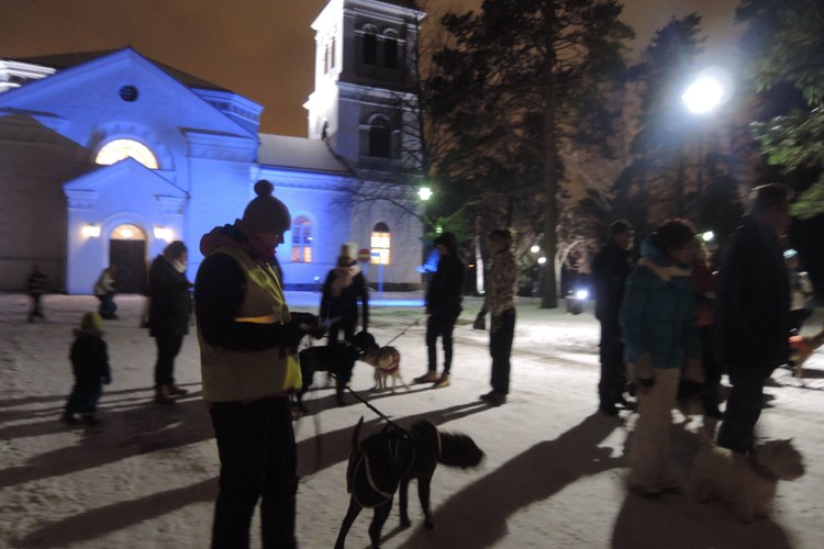 Kuvassa Kymin kirkon pihalla koiria ja ihmisiä kuuntelemassa eläinten joulurauhan julistusta. 