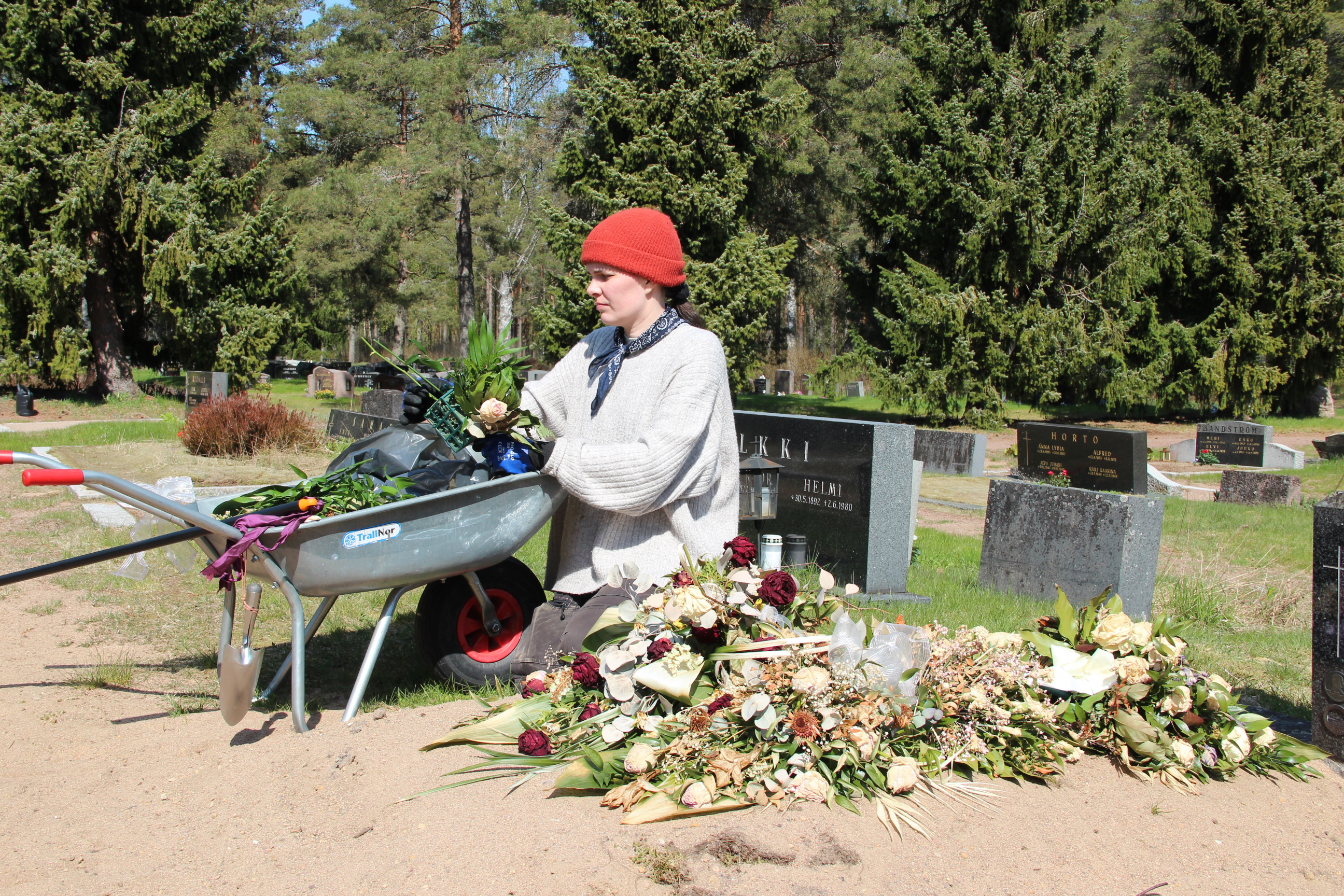 Hautausmaalla työntekijä kerää hautajaiskukkia kottikärryyn.