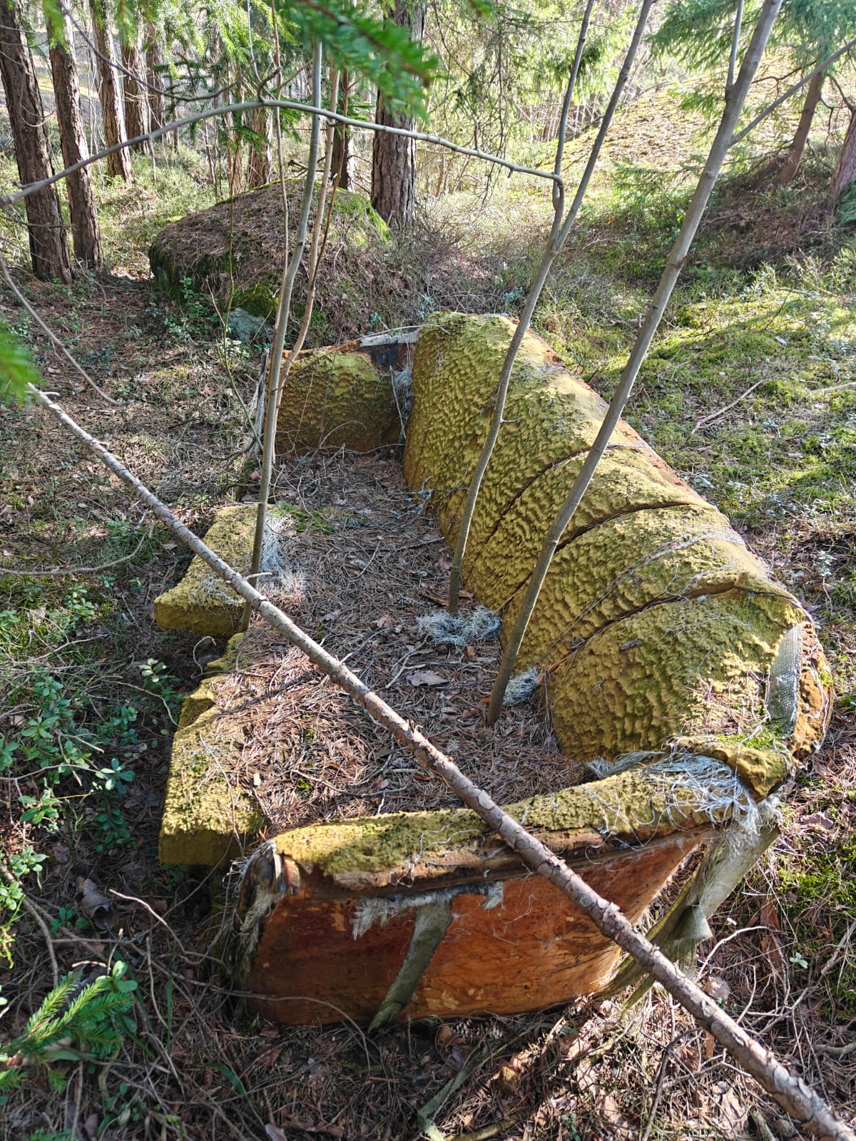 Metsässä on sammaloitunut sohva.